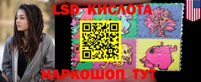 индика Новодвинск