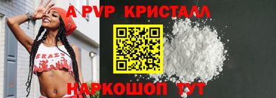 индика Новодвинск
