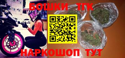 индика Новодвинск