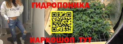 индика Новодвинск
