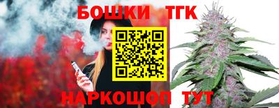 индика Новодвинск