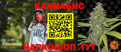 индика Новодвинск