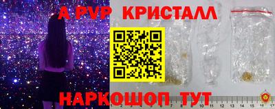индика Новодвинск