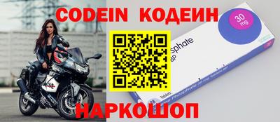 индика Новодвинск