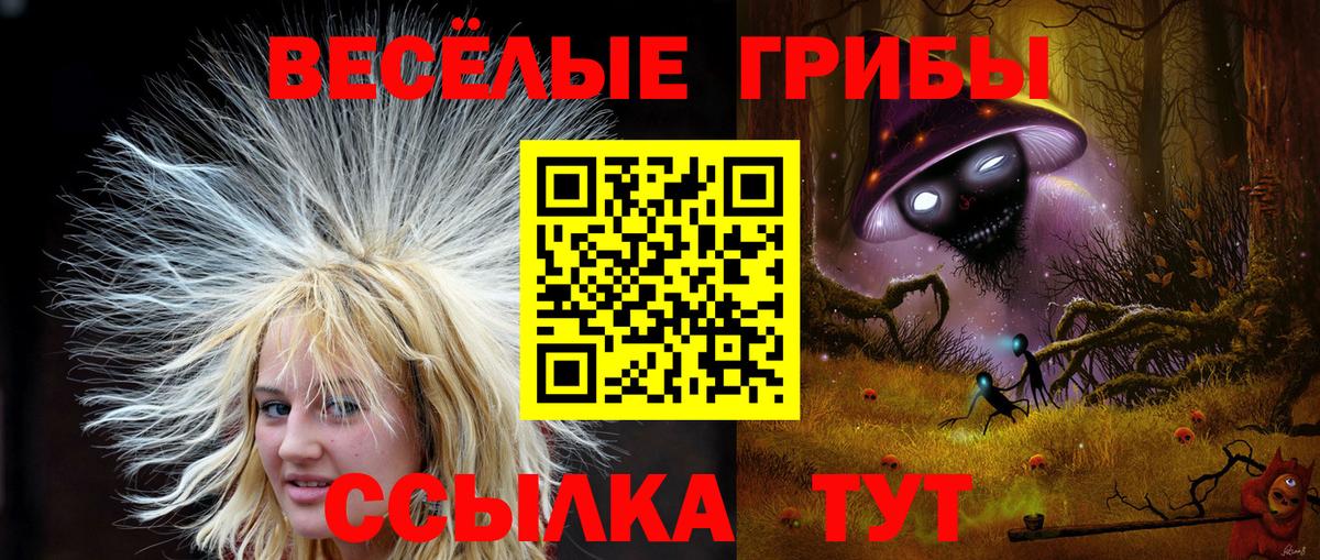 Серов  Галлюциногенные грибы Psilocybine cubensis  Вход с VPN 